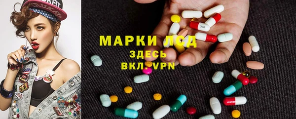 сатива Алзамай