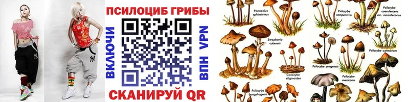 купить закладку  Нововоронеж  Галлюциногенные грибы MAGIC MUSHROOMS 